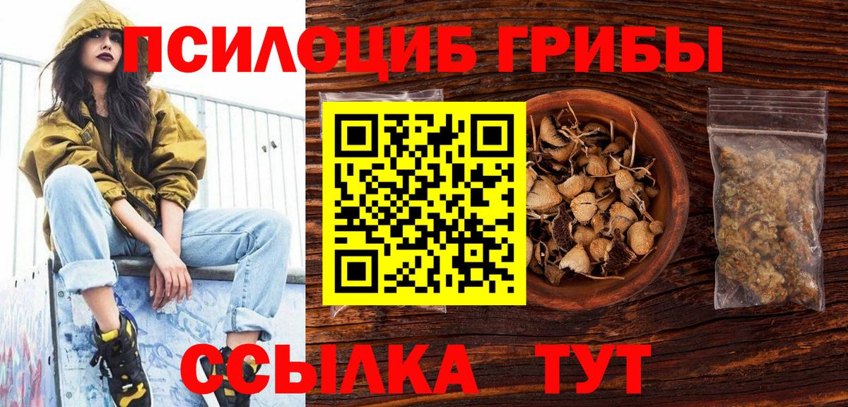 Домодедово  Галлюциногенные грибы мицелий  Вход с VPN 